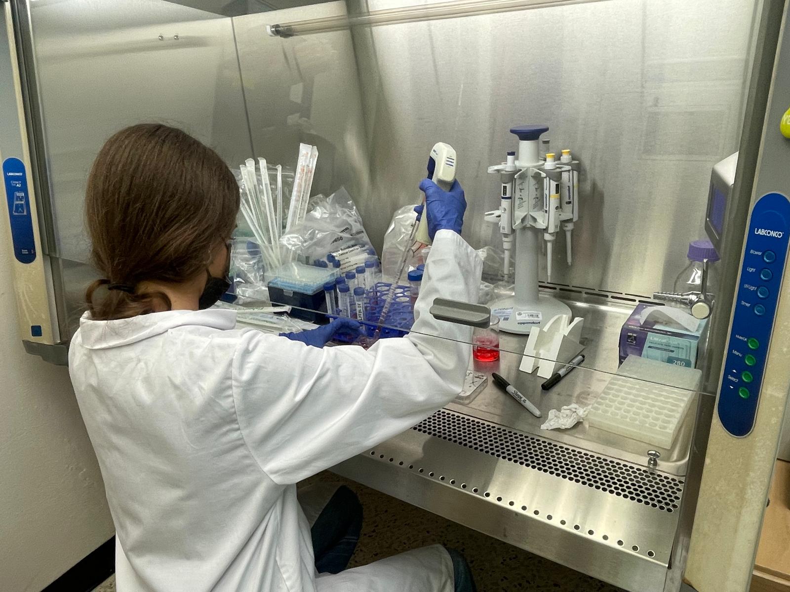 Lorena Pachiardi working in the lab fume hood