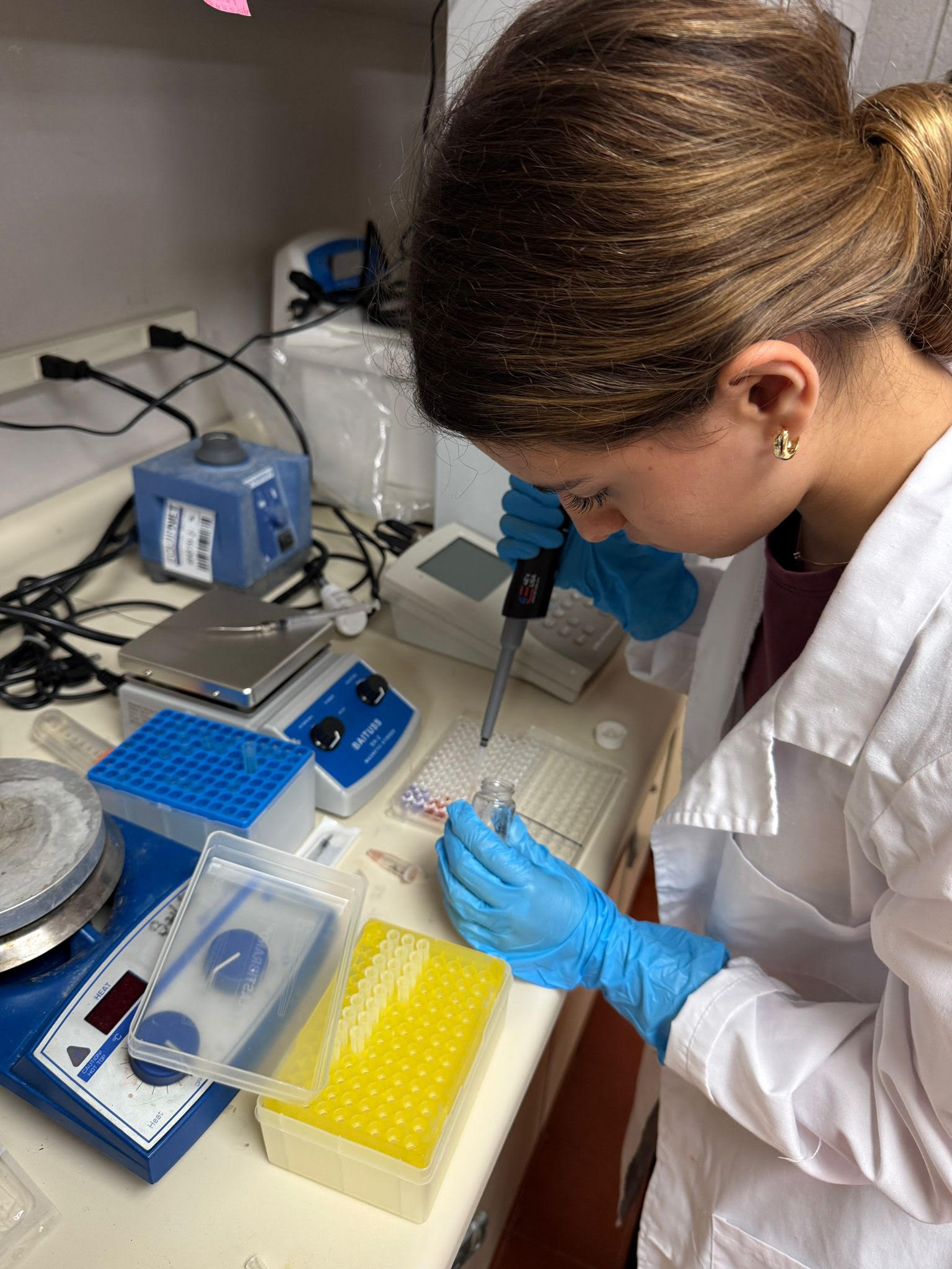 Anti-Neuroinflammation Research